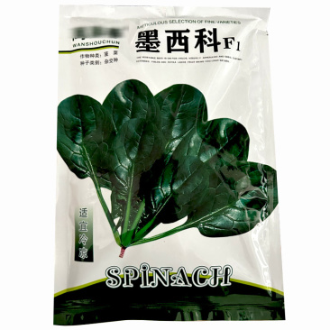 墨西科菠菜种子一代杂交耐寒抗病高产肉厚菠菜种籽春秋冬播
