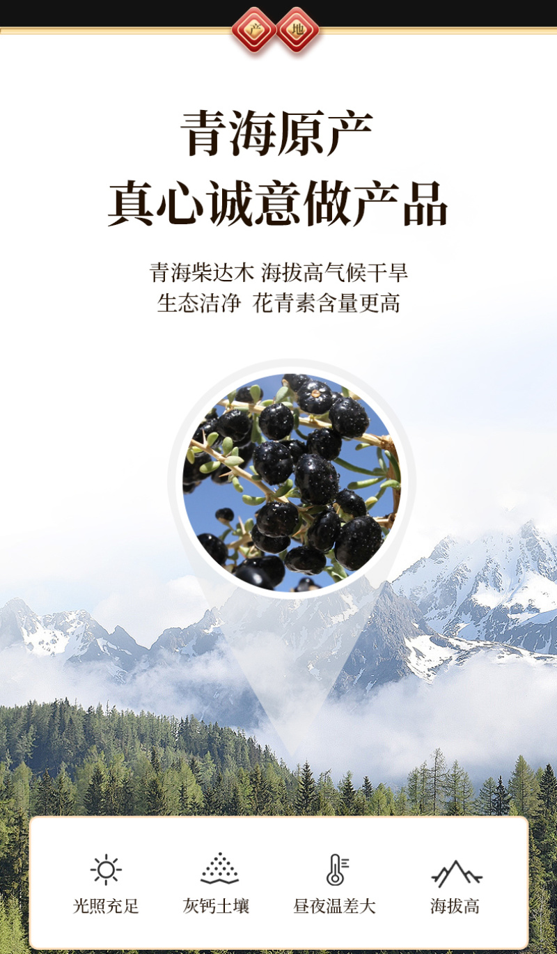 正宗青海诺木洪黑枸杞牛头果礼盒装代发包邮