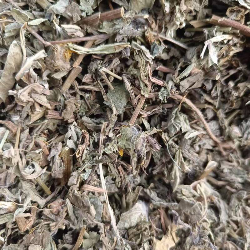 中药材败酱草新货野生败酱草干净无杂质规格齐全