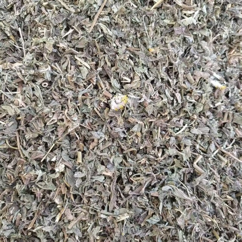 中药材败酱草新货野生败酱草干净无杂质规格齐全