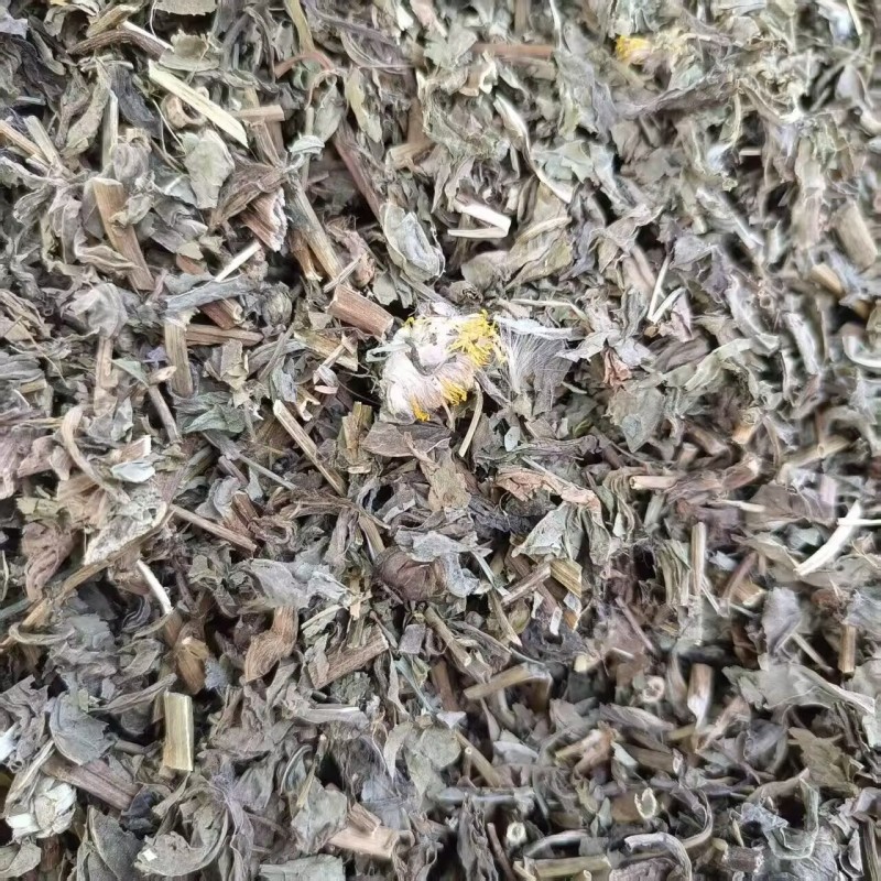 中药材败酱草新货野生败酱草干净无杂质规格齐全