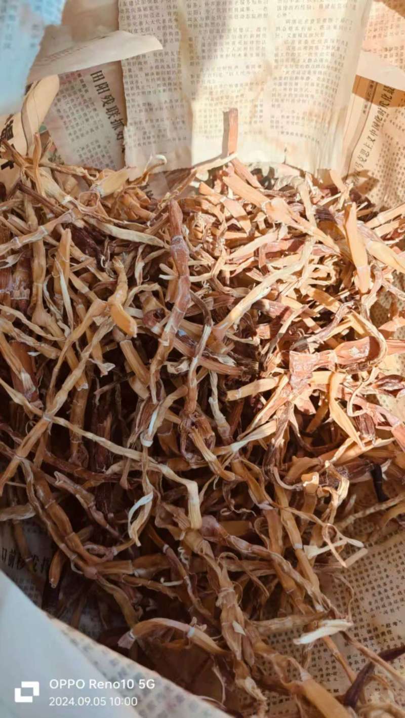 精品干笋货源充足，全国发货，量大从优诚信经营致电联系
