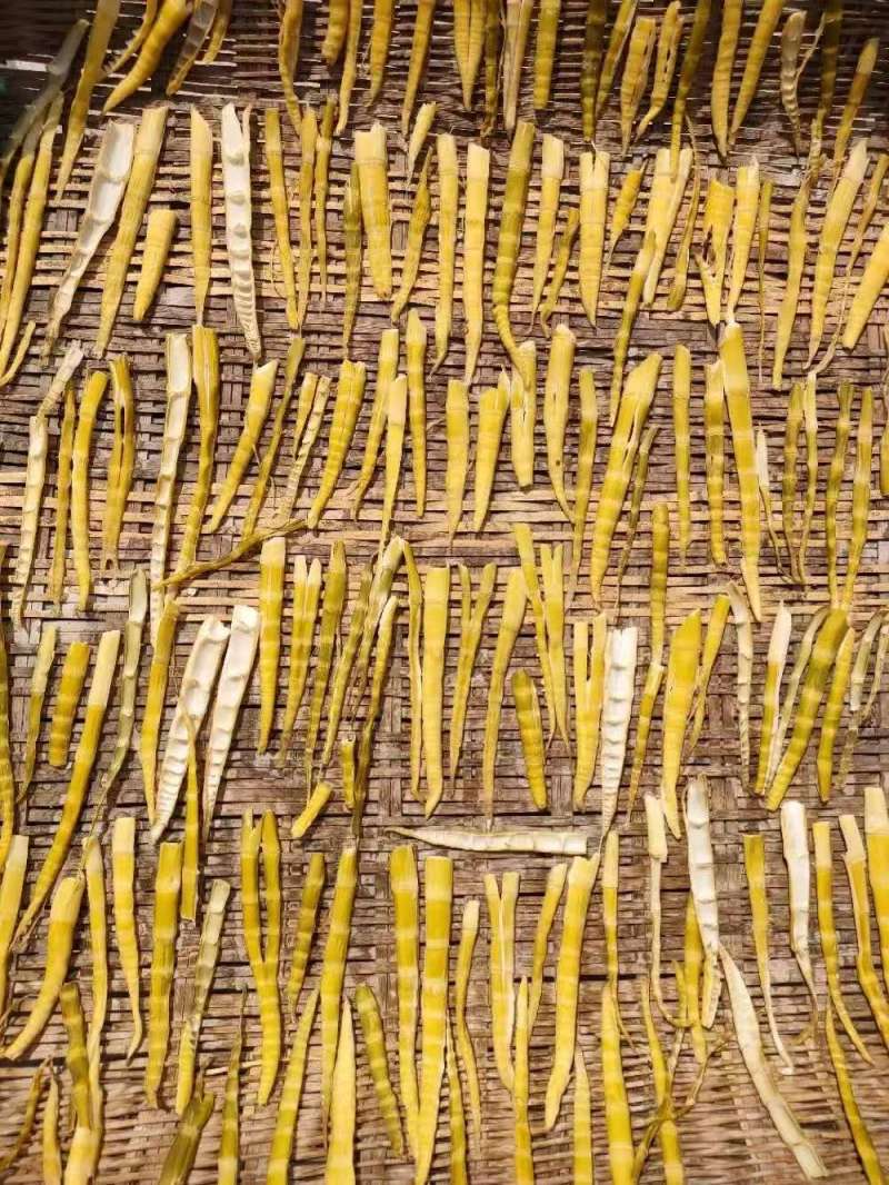 精品干笋货源充足，全国发货，量大从优诚信经营致电联系