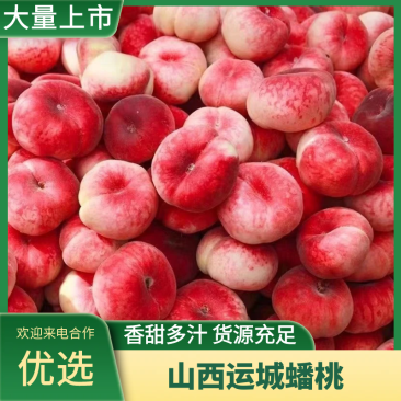 山西运城蟠桃毛桃农家自产品质保障量大价优对接商超电商