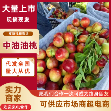 湖北油桃黄心油桃口感脆甜品质保障对接电商市场社区团购