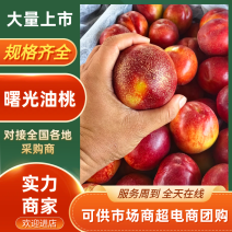 曙光油桃湖北油桃黄肉油桃口感好价格优量大优惠