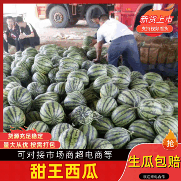 山东甜王西瓜大量上市，果型均匀，口感甜，包熟，可代发