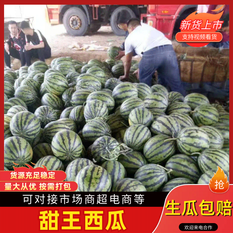 山东甜王西瓜大量上市，果型均匀，口感甜，包熟，可代发