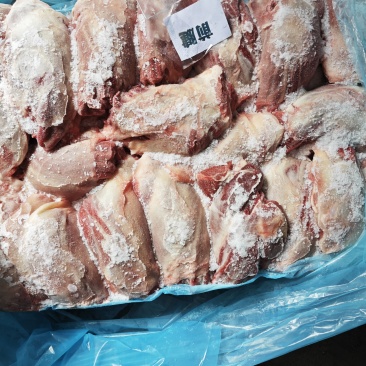 前腱子肉