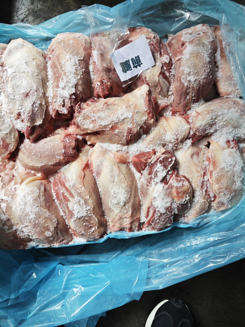 前腱子肉