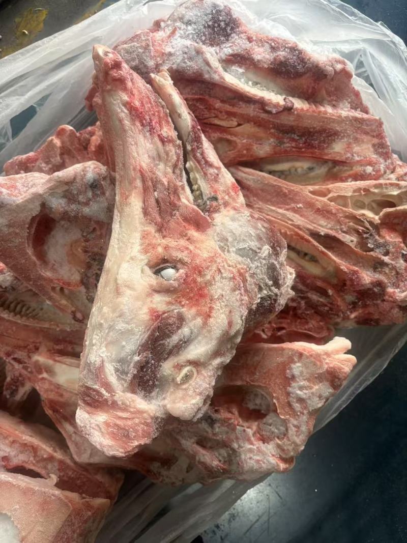 带肉猪头骨