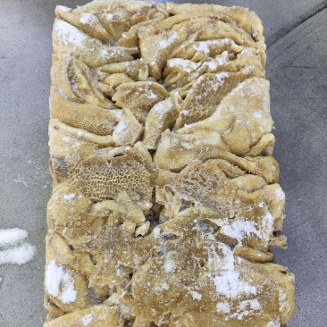 金钱肚