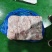 四号肉