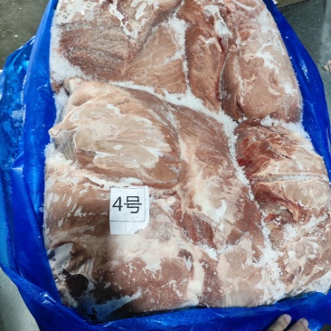 母猪四号肉