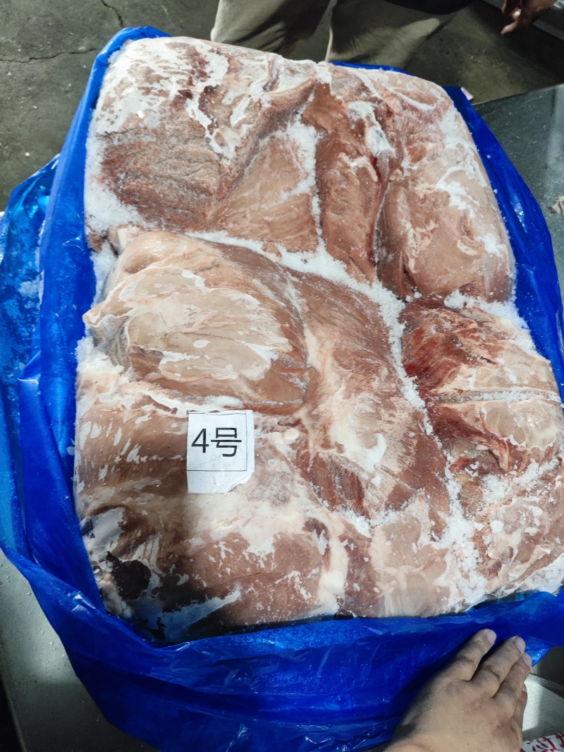 母猪四号肉