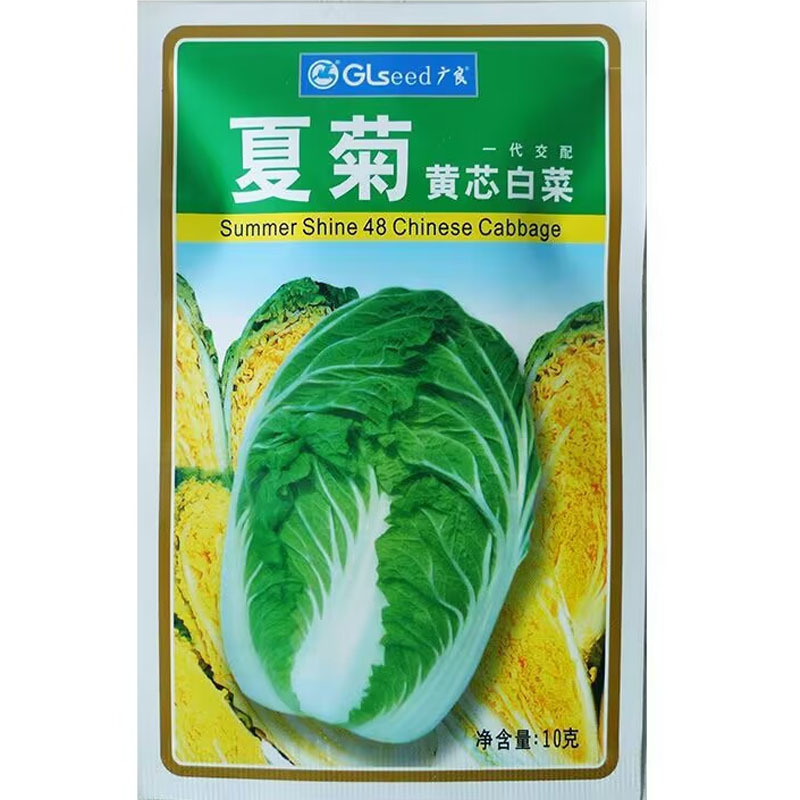 夏菊黄芯白菜种子早熟娃娃菜品种抗病结球紧实
