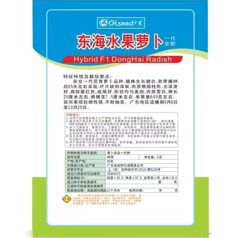 东海水果萝卜种子圆柱形肩部紫红色收尾好肉质雪白