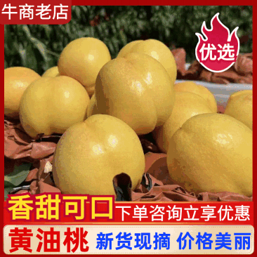 中油4号/黄油桃/中油油桃/河北黄油桃/脆甜多汁价美