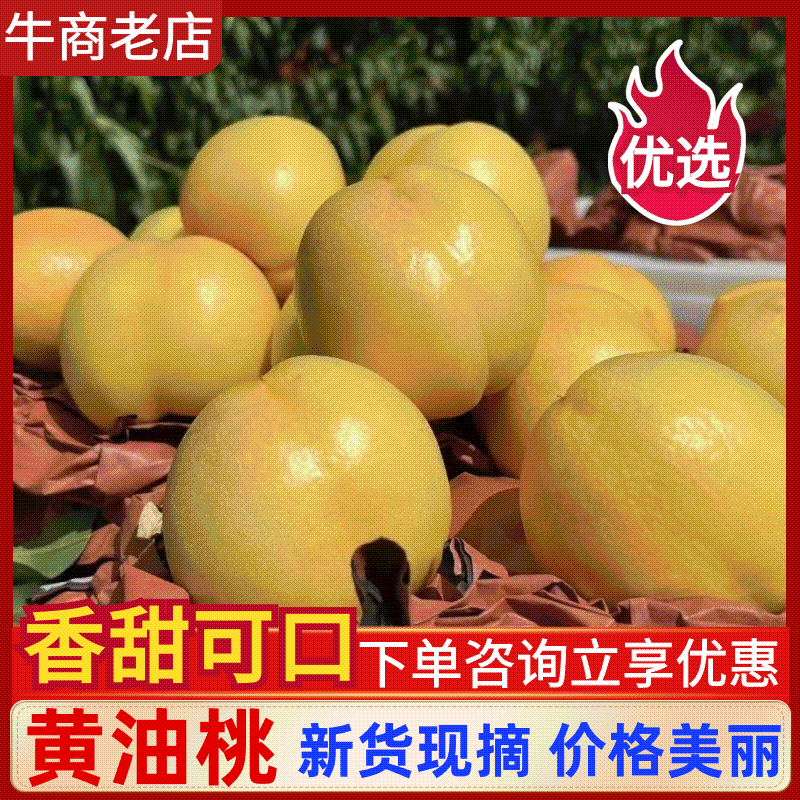 中油4号/黄油桃/中油油桃/河北黄油桃/脆甜多汁价美