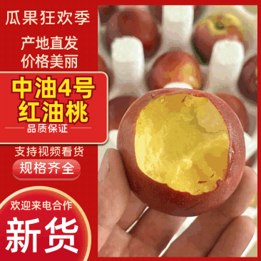 中油4号/红油桃/辽宁油桃/辽南红油桃/中油油桃/价美