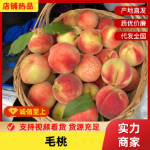 毛桃陕西毛桃基地直发供应全国市场电商商超欢迎咨询