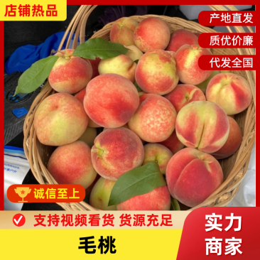 毛桃陕西毛桃基地直发供应全国市场电商商超欢迎咨询