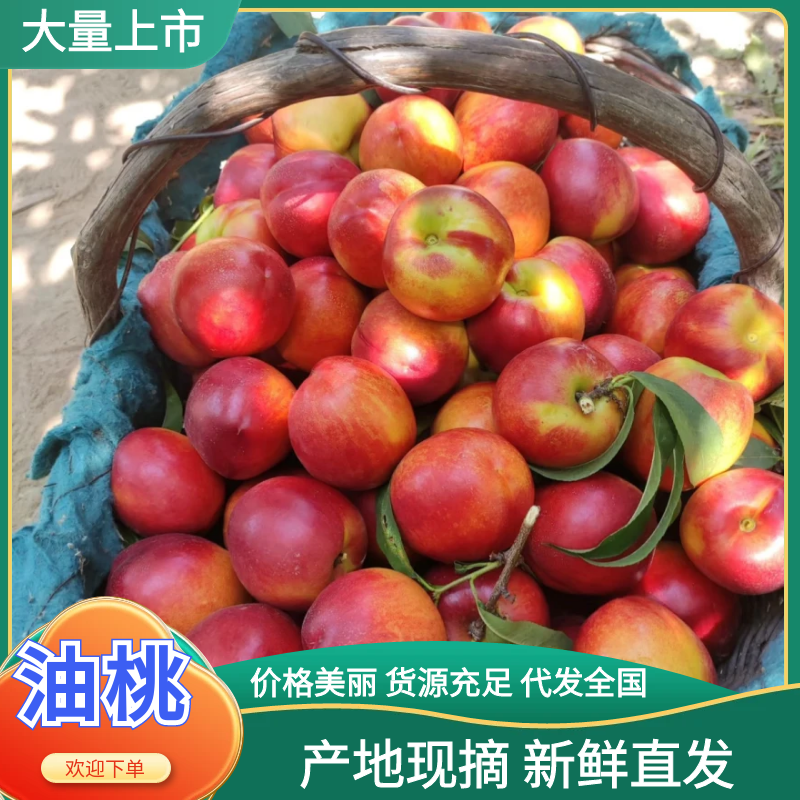 油桃陕西油桃脆甜多汁货源充足提供一条龙服务