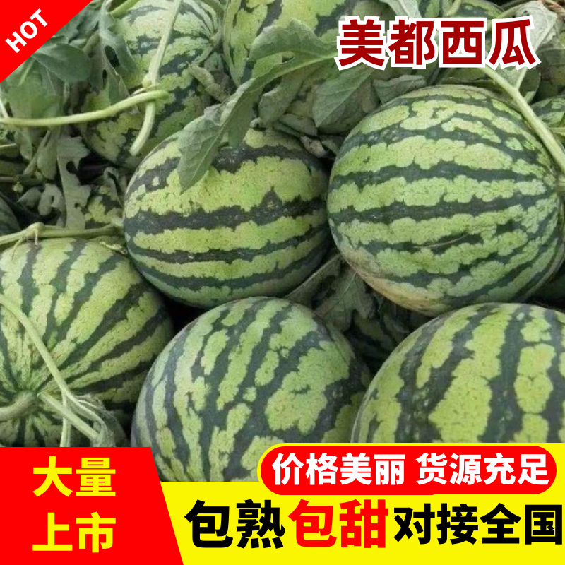 美都头茬麒麟瓜美都西瓜品质保证，价格美丽，种植产地直发