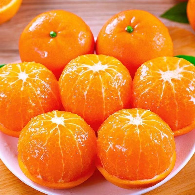 沃柑电商货代发