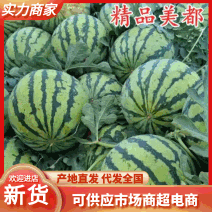 【实力】精品美都西瓜大量供应甜度高水分足大量供