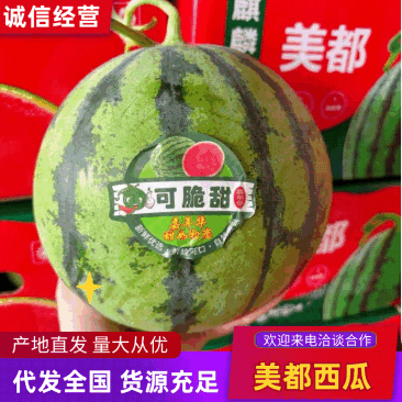 安徽亳州美都西瓜皮薄多汁现摘现发供应全国市场