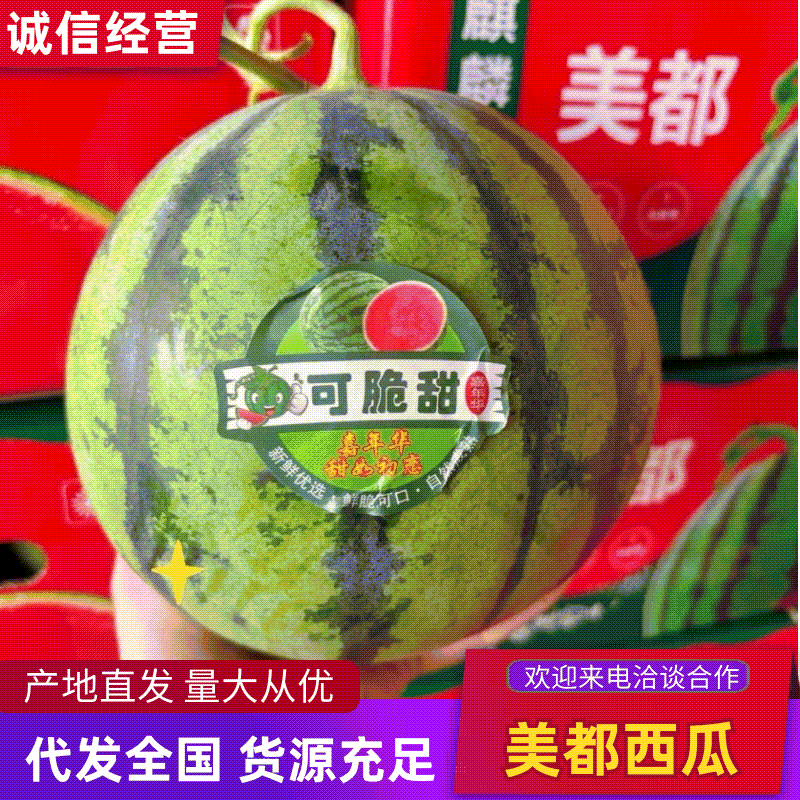 安徽亳州美都西瓜皮薄多汁现摘现发供应全国市场