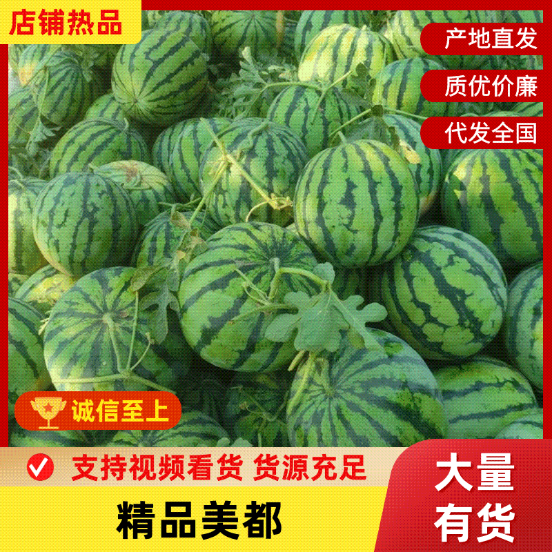 【实力推荐】精品美都西瓜产地直供一手货源新鲜采摘