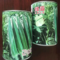 原装进口绿灞水果秋葵种子果实浓绿色泽亮丽弯曲果少