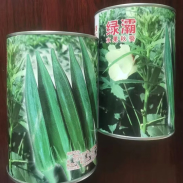 原装进口绿灞水果秋葵种子果实浓绿色泽亮丽弯曲果少