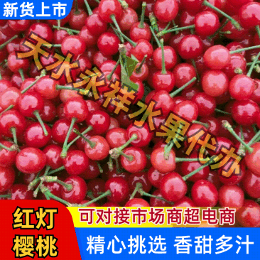 美早，车厘子大樱桃产地一手货源五月上市物美价廉欢迎选购