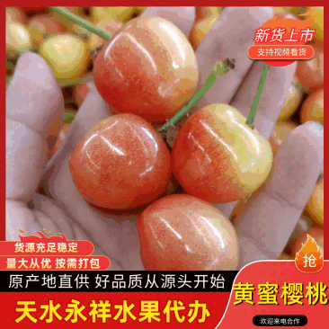 甘肃天水黄蜜,水晶黄,大板黄,樱桃,新老客户来电咨询