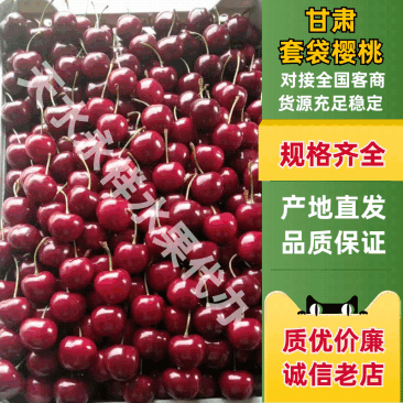 【精选】天水套袋大樱桃美早胜利车厘子电商供货源充足