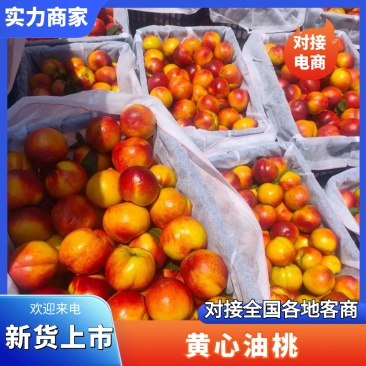 汉中城固黄心油桃中油1927酥脆甜产地直供