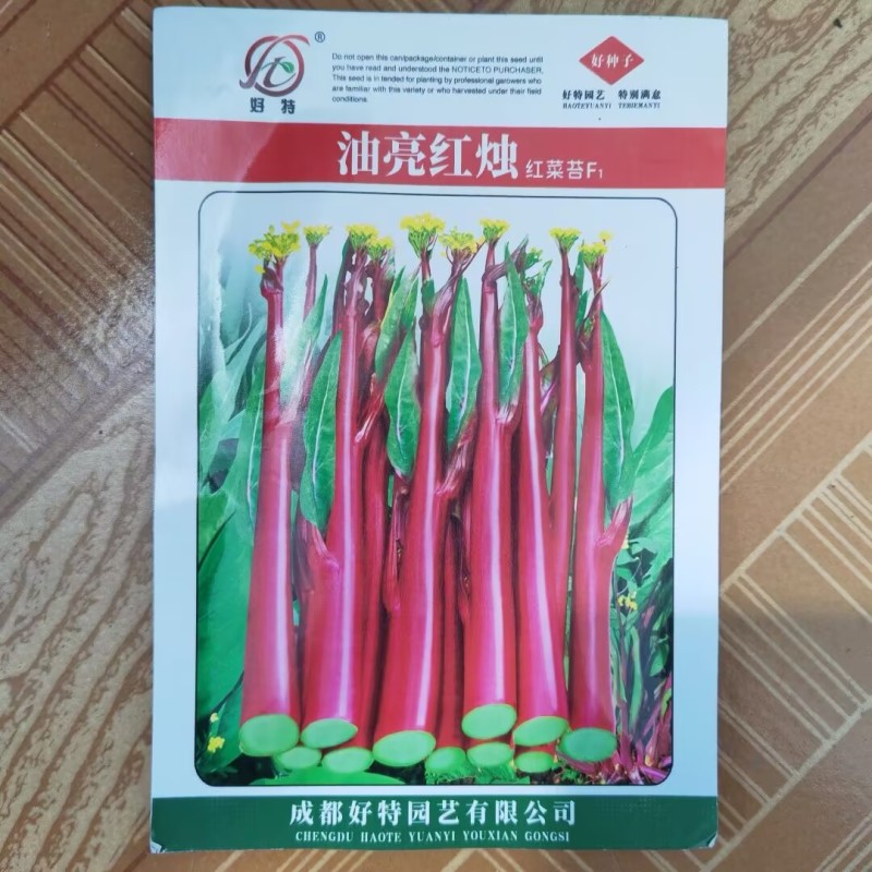 油亮红烛红菜苔种子侧苔抽生快颜色亮红抽苔多