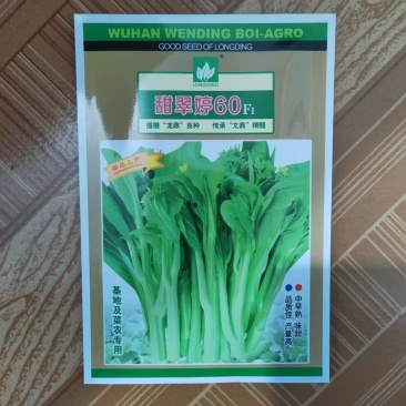 甜翠60白菜苔种子苔亮绿色苔叶尖小卖相好味甜抗病