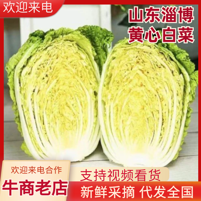 淄博黄心白菜对接学校食堂商超社区团购白菜加工厂