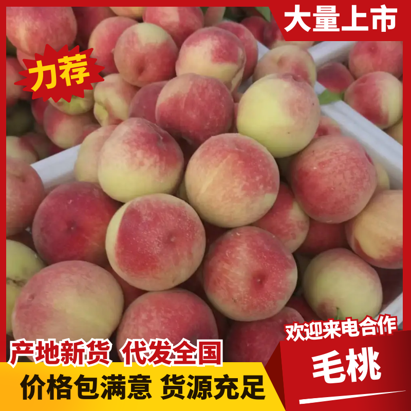 砀山突围毛桃，严格把控品质，价格客观优惠，产地直发，服务周到