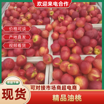 砀山油桃，品种齐全，质量把控，价格优惠，品质保证，产地直发