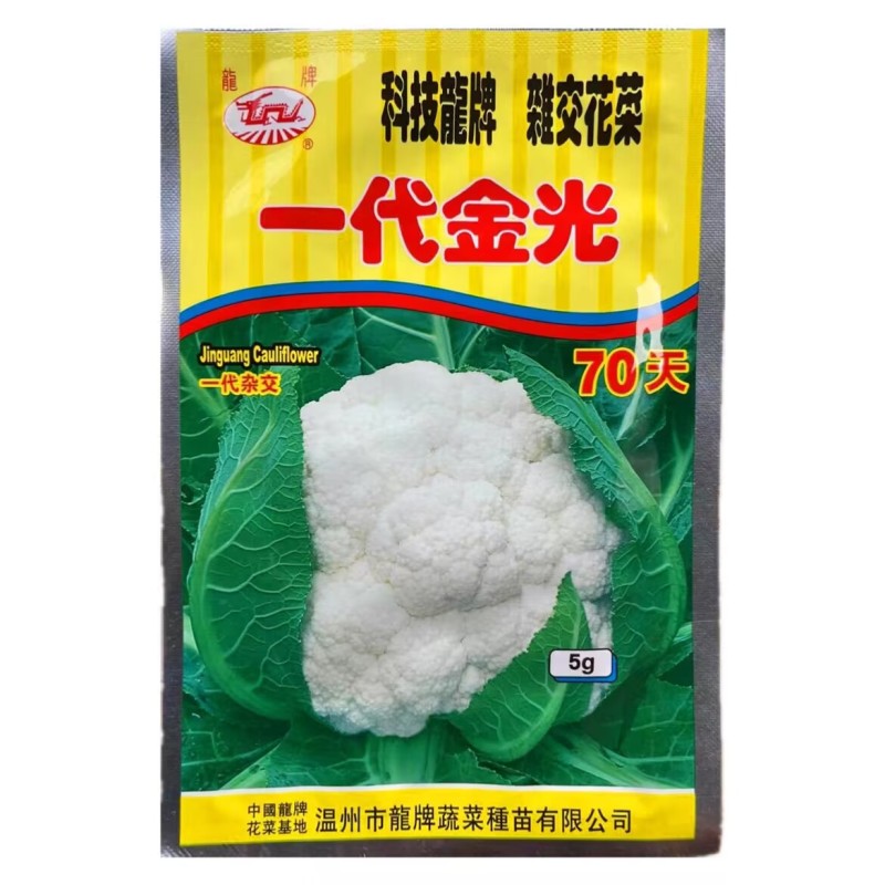 龙牌一代金光70天80天花椰菜种子紧实型花菜种子抗热