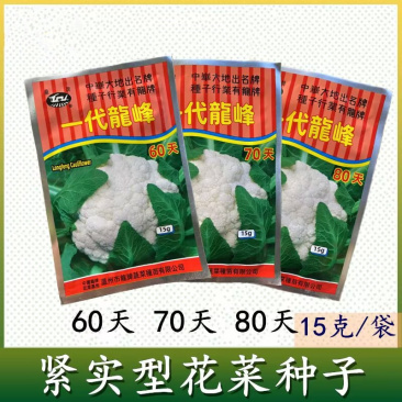 龙牌一代龙峰60天70天80天花椰菜种子抗病耐热耐湿