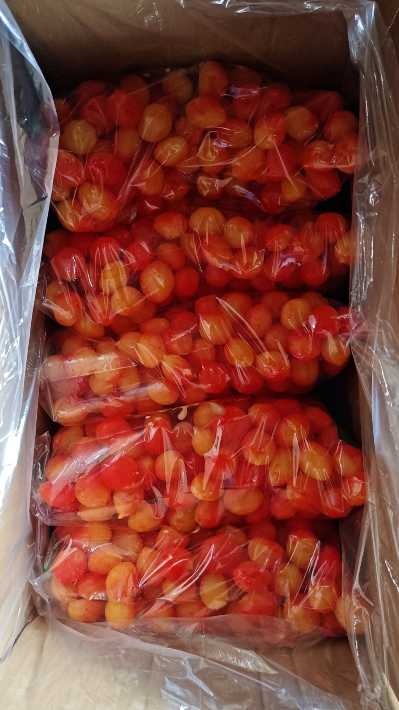 金西梅干蜜制桃，厂家直发大量现货稳定对接批发量大从优