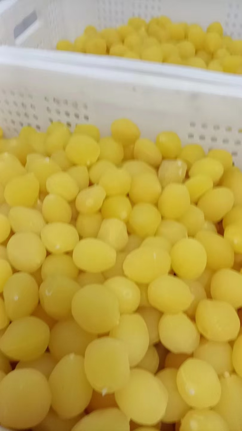 金西梅干蜜制桃，厂家直发大量现货稳定对接批发量大从优