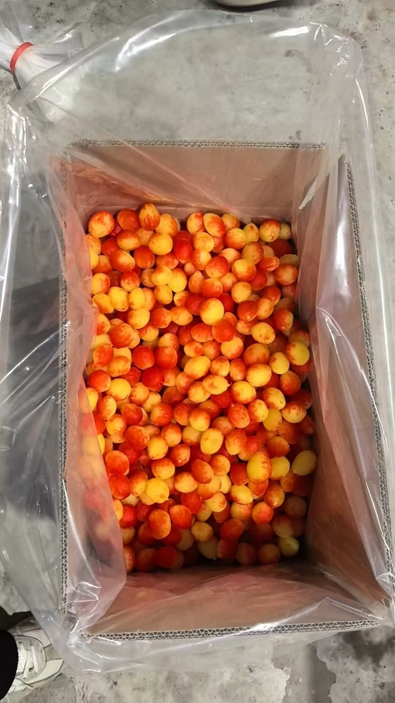 金西梅干蜜制桃，厂家直发大量现货稳定对接批发量大从优