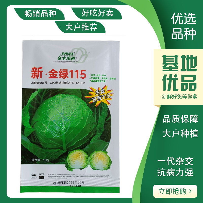 【沙拉甘蓝】金绿115水果甘蓝种子生食脆甜圆球型早熟抗病